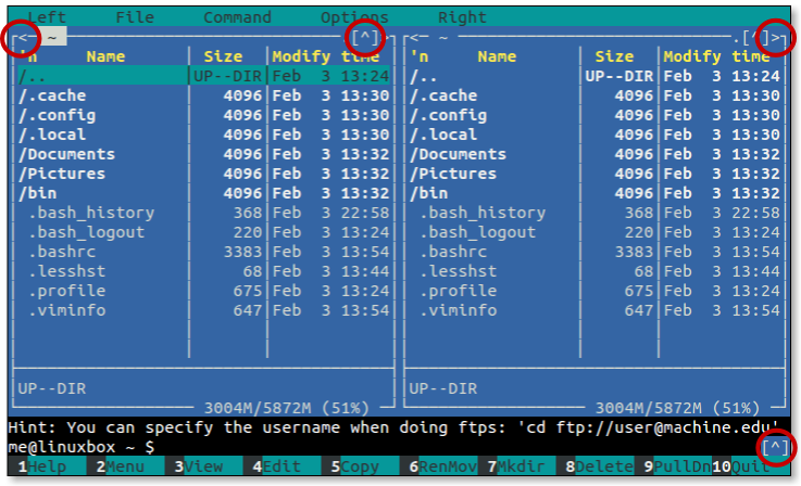 core ftp command line move file